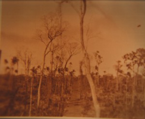 zonadamata